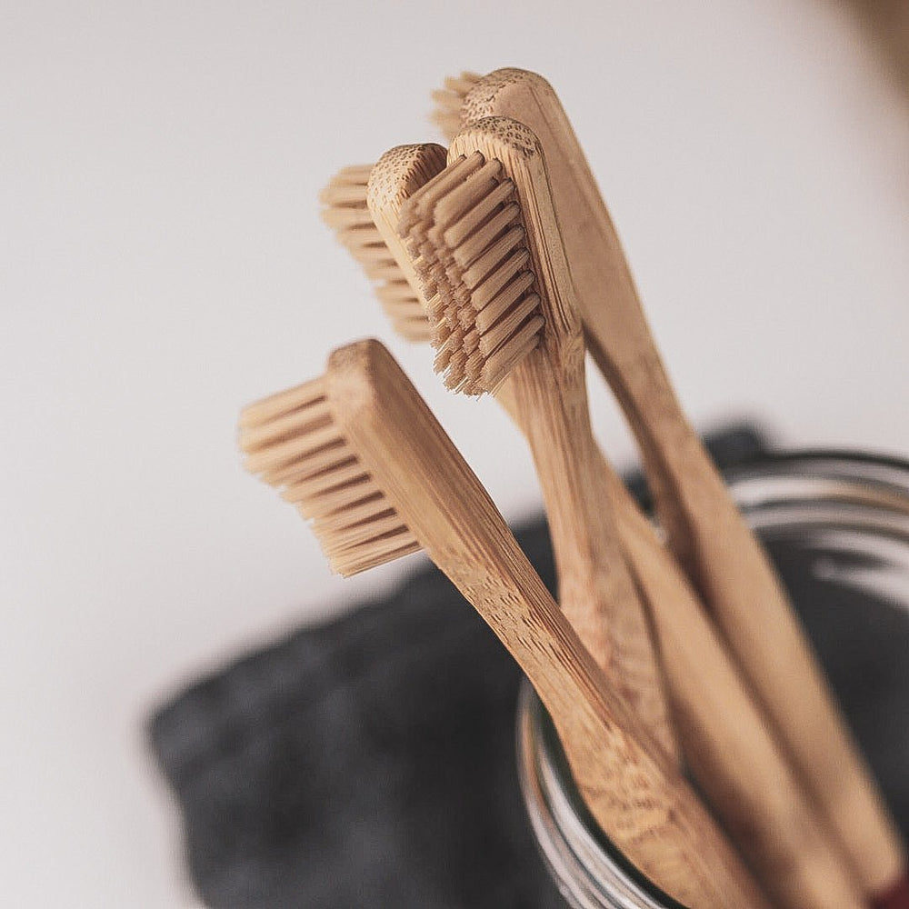 mittelstarke Borsten und abgerundeter Borstenkopf